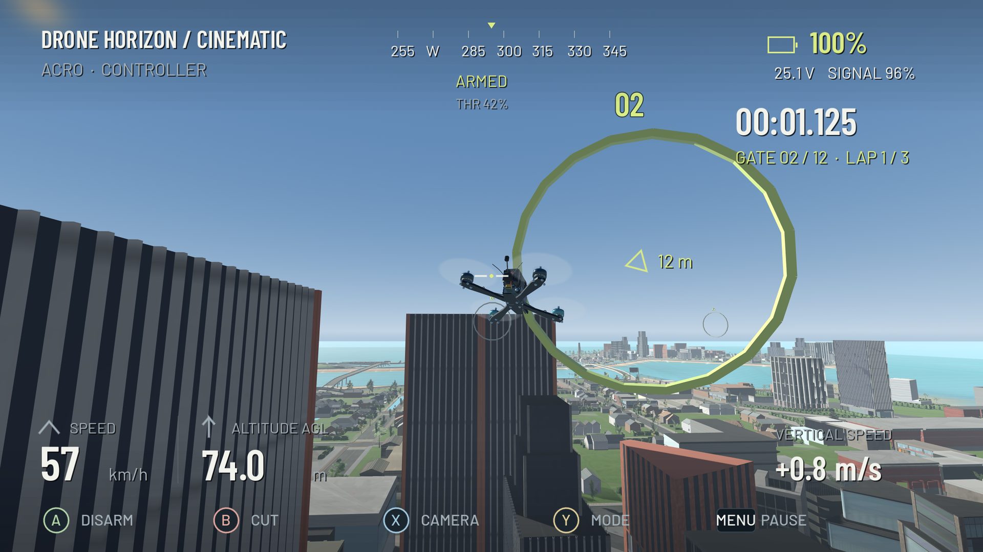 Drone Horizon in-game flight view