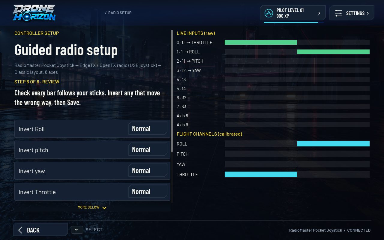 Drone Horizon guided radio setup review step with invert toggles and live raw and calibrated channel bars